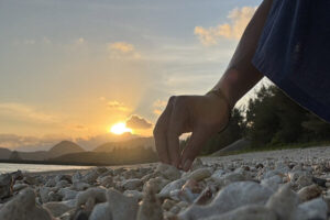 ビーチでクジラの宝物を探そう！