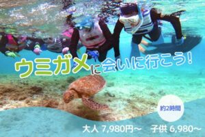 ウミガメシュノーケリング