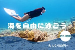 スキンダイビング