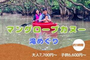 冒険の森へ！マングローブカヌー＆世界最大の豆と滝めぐり体験（半日）